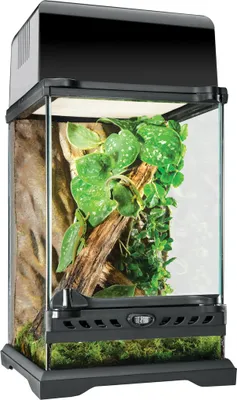 A glass terrarium with plants and a wooden branch inside, set against a white background.