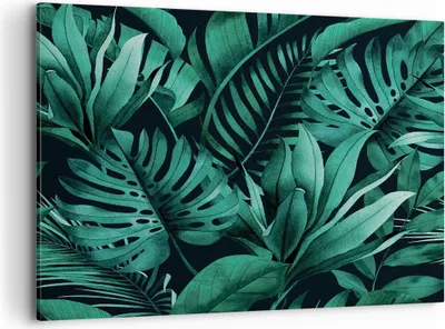 Produktbild von Bild auf Leinwand - Leinwandbild - Einteilig - Blätter Grafiken Monstera - 120x80cm - Wand Bild - Wanddeko - Wandbilder - Leinwanddruck - Bilder - Wanddekoration - Leinwand bilder - AA120x80-4886