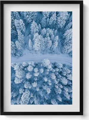 Produktbild von Wald aus der Vogelperspektive Drohne– Wandbild mit Rahmen – Gerahmtes Bild  – Wanddekoration – 50x70 cm –  Schwarz Rahmen