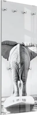 Produktbild von DEQORI Kleiderhaken aus Glas 50x125 cm 'Elefant auf Kurs' Wand Garderobe Paneel Haken