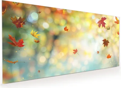 Produktbild von Küchenrückwand Spritzschutz Glas mit Motiv Herbstlaub Wald 40 x 40 cm