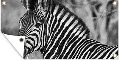 Produktbild von MuchoWow® 60x30 cm Outdoor-Poster Gartendeko Sichtschutz Garten Poster für den Garten  Zebra-Porträt