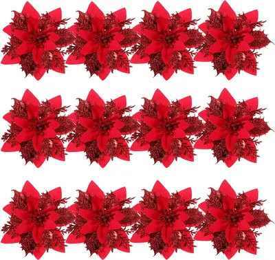 A collection of red poinsettia flowers arranged in rows on a white background.