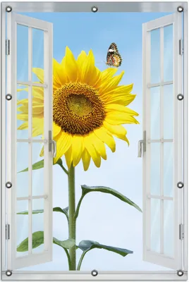 Produktbild von Wallario Outdoor-Poster für Garten oder Balkon 80 x 120 cm: Sonnenblume mit Schmetterling