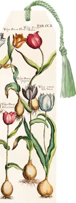 Image de Signet 60 avec ruban Fleurs de printemps