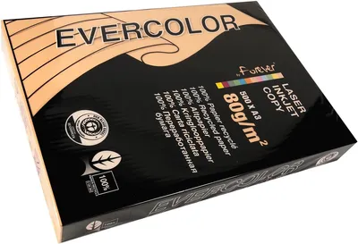 Produktbild von Clairefontaine - Evercolor farbiges Recyclingpapier, A3, 80 g, 500 Blatt, lachsfarben