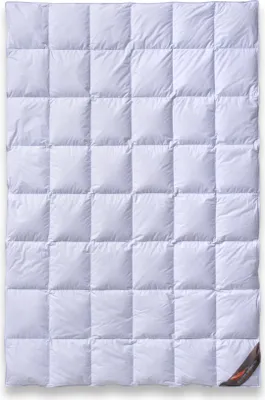Produktbild von Sommer Bettdecke 135x200 100 % arktische Gänsedaunen