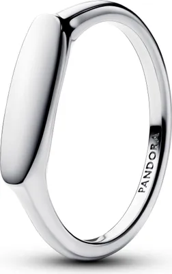 Produktbild von Ring mit Stabform für Damen, 925er Silber von PANDORA