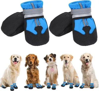 Produktbild von Famanu Hundeschuhe Wasserfest - 4 Stück, rutschfest, verstellbare Pfotenschutz