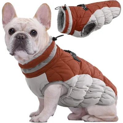 Image de Manteau d'hiver pour chien, veste imperméable avec harnais, couleur marron, taille M