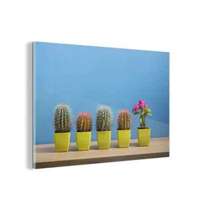 Obrázok produktu pre MuchoWow® Sklenené obrazy - Obrazy na stenu - Foto na skle Kvetina vedľa kaktusov 60x40cm Nástenná dekorácia zo skla - akrylový sklenený obraz - akrylové obrazy