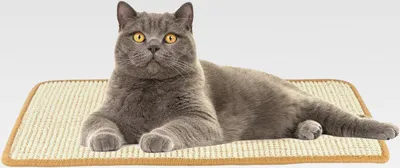 Produktbild von Kratzmatte Beige| Katzen Vorleger| Kratzteppich| Sisal Kratzmatte| Katzenmöbel| Krallenpflege (40cm x 60cm)