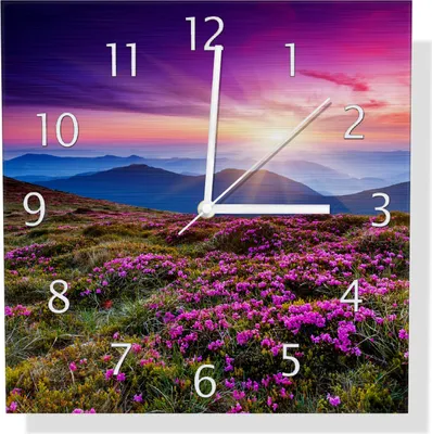 Produktbild von Wallario Design Wanduhr Blumenbedeckte Wiese bei Sonnenuntergang aus Aluverbund, Größe 30 x 30 cm