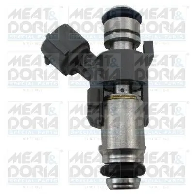 Obrázek produktu pro Benzinový Vstřikovač Fiat Ducato 3.0 09-