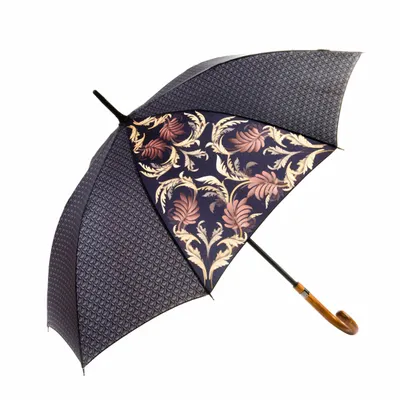 Produktbild von Mary Sam's Stockregenschirm Regenschirm Ø 103cm für Frauen, Länge 88cm, Automatische Öffnung, Stockregenschirm Damen, Stockschirm Sturmfest