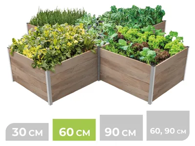 Produktbild von BioGreen 5m² Hochbeet ErnteMAXX in Kreuzform aus Holz in 4 Größen verfügbar