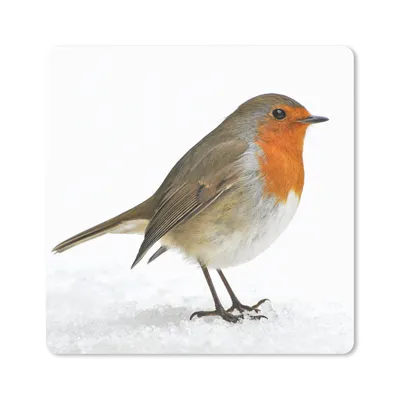 Produktbild von MuchoWow® Mauspad Mousepad Rotkehlchen - Schnee - Weiß 30x30 cm - Mousepads - Maus Mat - Pad - Mausunterlage - Gaming