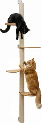 Image de 205 cm Arbre à chat mural avec 4 plateaux pour chats - Arbre à chat en sisal à monter au mur