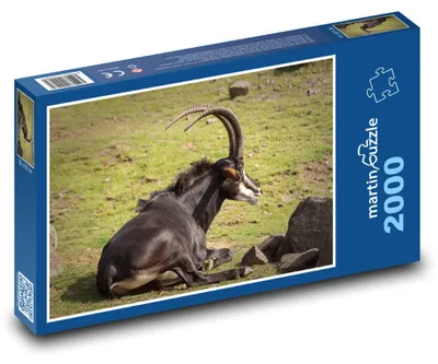 Zdjęcie produktu dla Puzzle 2000 Antylopa na odludziu - martinpuzzle