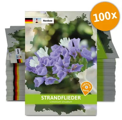 Artikelbild 2 von 'Strandflieder (Regionale Sorte Nordsee) (100 Tütchen)'