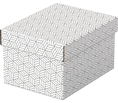 Produktbild von Esselte 628280 Dateiablagebox Karton Weiß