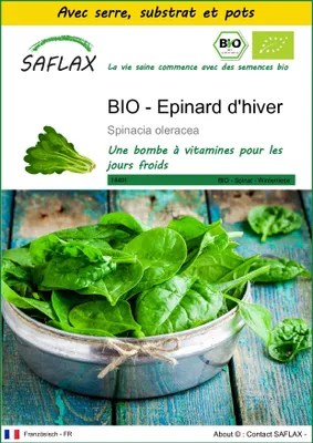 Image de SAFLAX Ensemble de culture -- Epinard d'hiver - 250 graines - Spinacia