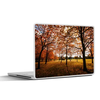 Produktbild von MuchoWow® Laptop Aufkleber Sticker Cover Herbst - Herbstblätter - Natur 25x18 cm - Laptop-Deko