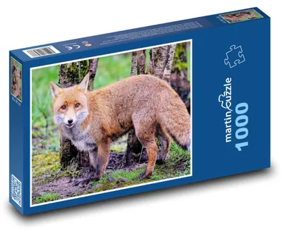 Zdjęcie produktu dla Puzzle 1000 Lis w lesie - martinpuzzle