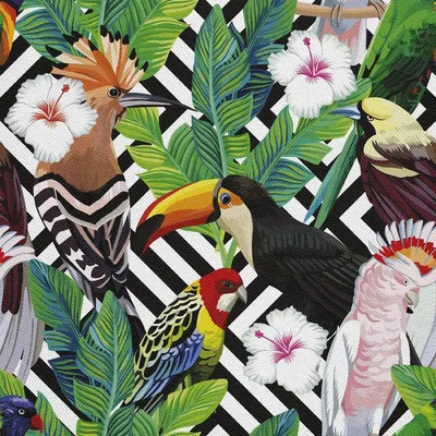 Image de OUTDOOR DÉCORDS OXFORD - Motif oiseaux toucans perroquets I DX169
