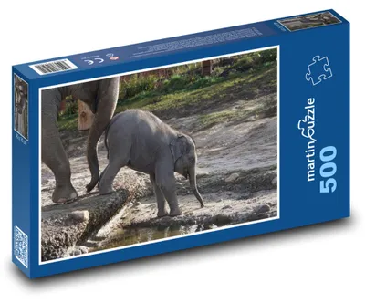 Zdjęcie produktu dla Puzzle 500 Słoniątko w zoo - martinpuzzle