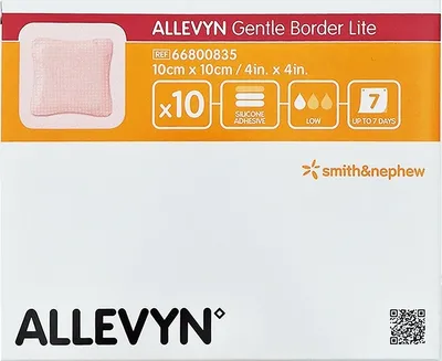 Image de Allevyn Gentle Border Lite 10x10 cm pansement mousse 10 pces