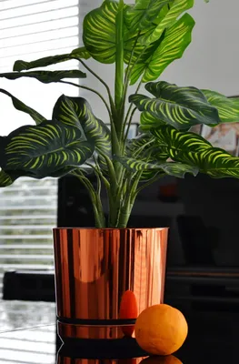 Produktbild von Kerd DEKOR 21 Blumentopf Glanz Orange