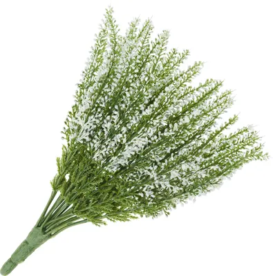 Produktbild von Erika, 24 Blütenstränge, L 26 cm Cream