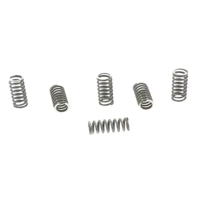 Immagine prodotto di Kit 6 molle frizione TRW MEF162-6 per Yamaha