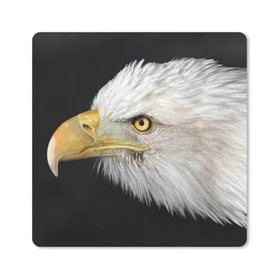 Produktbild von MuchoWow® Mauspad Mousepad Adler - Vogel - Schnabel - Augen 30x30 cm - Mousepads - Maus Mat - Pad - Mausunterlage - Gaming