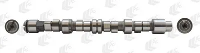 Produktbild von AE CAM729 Nockenwelle für RENAULT CLIO II (BB0/1/2, CB0/1/2) KANGOO (KC0/1) KANGOO Express (FW0/1) für DACIA SANDERO