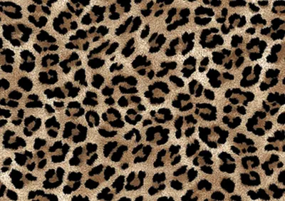 Produktbild von OUTDOOR DEKOSTOFFE OXFORD - Motiv Leopardenmuster I DR131