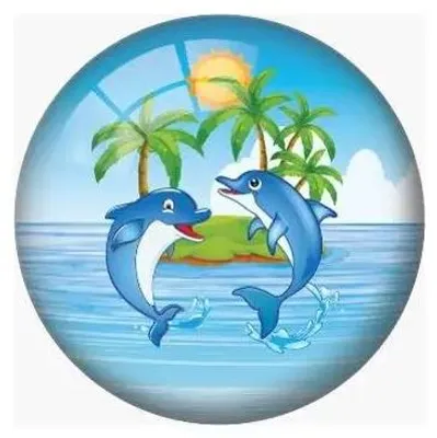 Produktbild von Outdoor Active Outdoor active Buntball ''Delphin'', 23 cm
