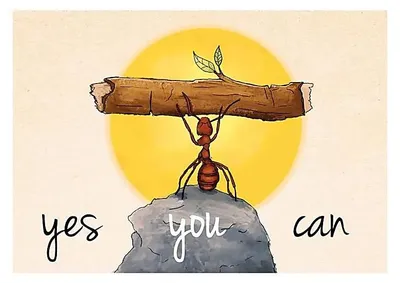 Produktbild von Postkarten „Yes You Can“ – Packung mit 10 Stück – 15 x 10,5 cm