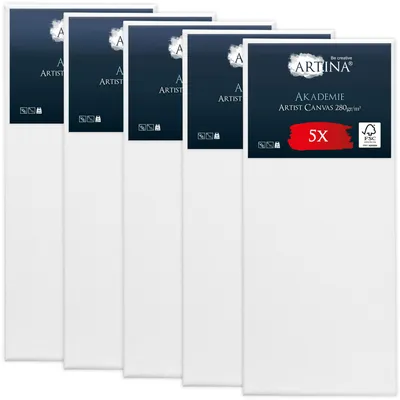 Produktbild von Artina Keilrahmen Leinwand Akademie, 60x140cm, 5er Set