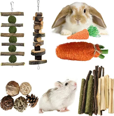 Obrázek produktu pro 12PCS hlodavců žvýkací hračky Set, Bunny Treats a míč Timothy Hay Stick Toy pro králíka králík morče činčila křeček