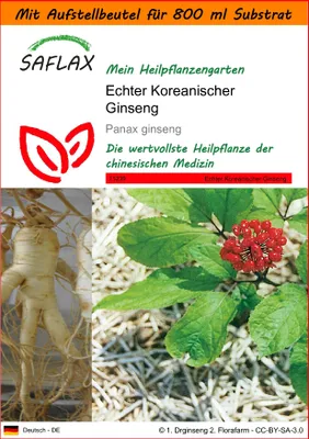Produktbild von SAFLAX Garden in the bag - Echter Koreanischer Ginseng - Panax ginseng - 10 Samen - Mit Anzuchtsubstrat im praktischen, selbst aufstellenden Beutel