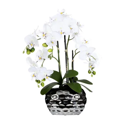 Produktbild von Kunstpflanze Phalaenopsis Höhe: 55 cm weiß