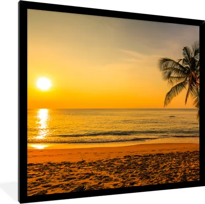 Produktbild von MuchoWow® Gerahmtes Poster Palme - Strand - Sonnenuntergang - Meer 40x40 cm - Poster mit Schwarzem Bilderrahmen Wandposter Rahmen Foto Bilder - Mit Rahmen - Wanddekoration Schlafzimmer