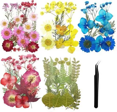 Produktbild von Famanu DIY Set mit 84 getrockneten Blumen - Natürliche gepresste Blumen und Blätter für kreative Projekte