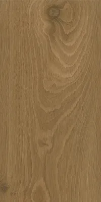 Obrázek produktu pro Vinylová podlaha SPC Floor Concept dub Aspen, 5 mm