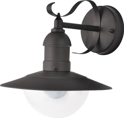 A black outdoor wall light with a clear glass globe.