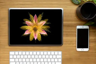 Produktbild von MuchoWow® Laptop Aufkleber Sticker Cover Eine gelbe Blume auf schwarzem Hintergrund 30x21 cm - Sticker für Laptop - Selbstklebend