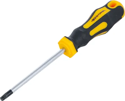 Obrázek produktu pro BGS technic Screwdriver, 72 g