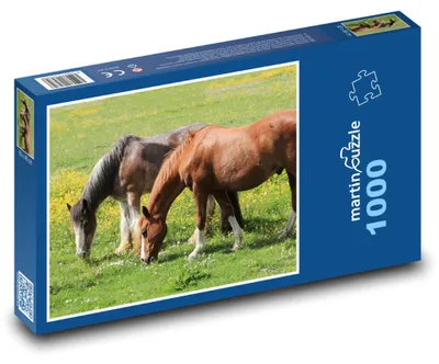 Obrázok produktu pre Puzzle 1000 Kone na rozkvitnutej lúke - martinpuzzle